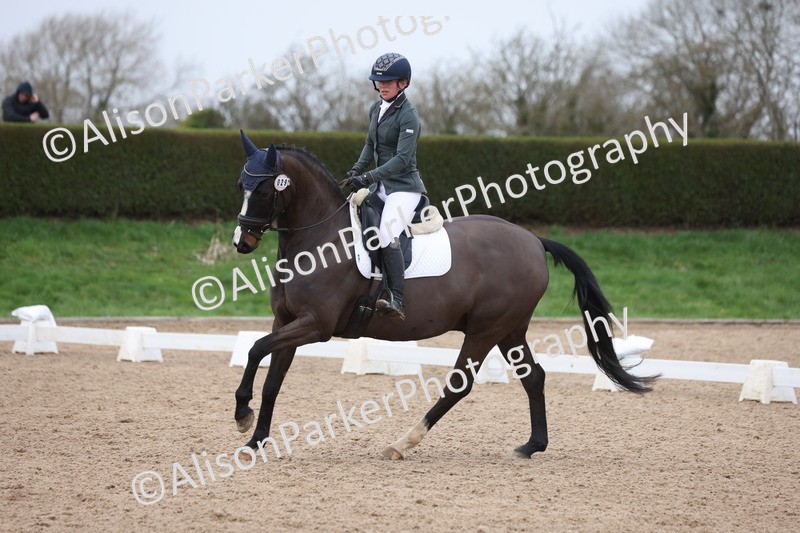 20260301-0357 - Class 3 - Novice 4