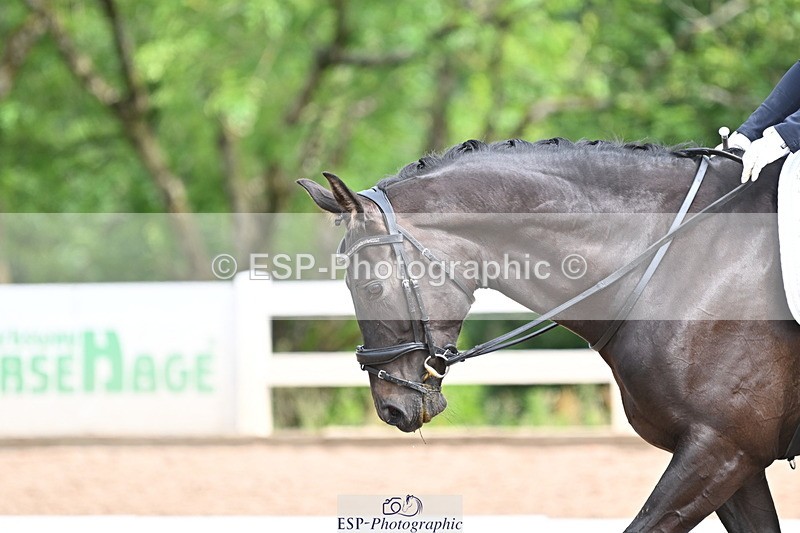 240623A-095201-16351 - Cls 45 BD Prelim 19