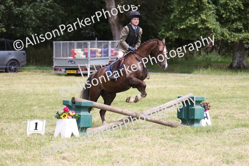 20260614-2839 - Class 22 - Open Working Hunter