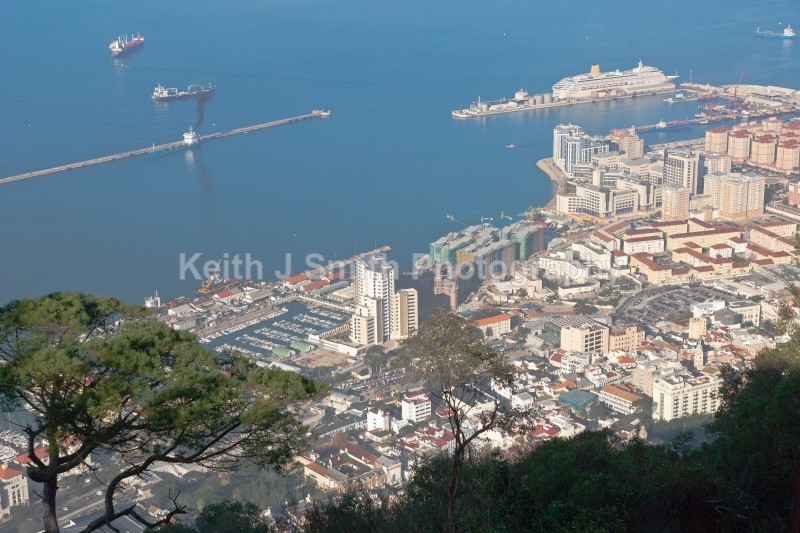 YR6M8592  (RM) - Worldwide