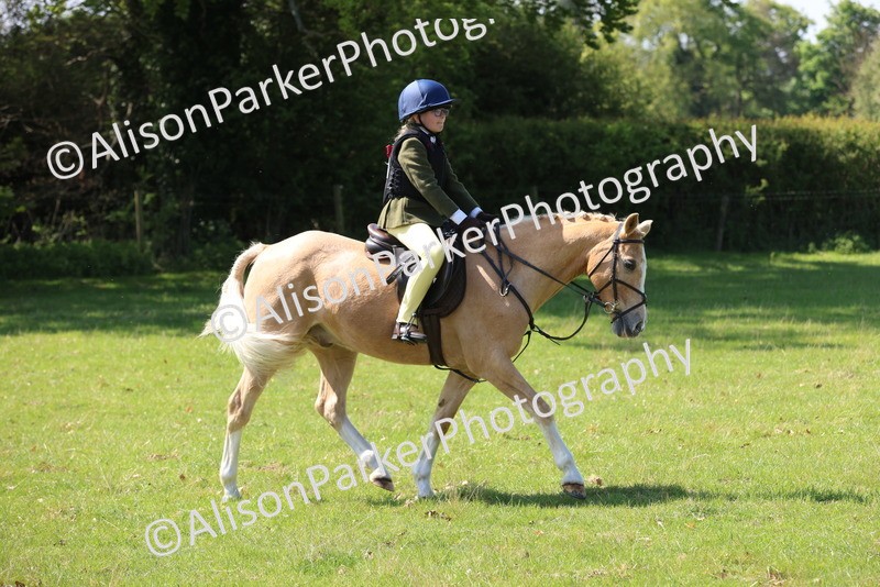 20250427-2500 - Class 19 - Mini Working Hunter