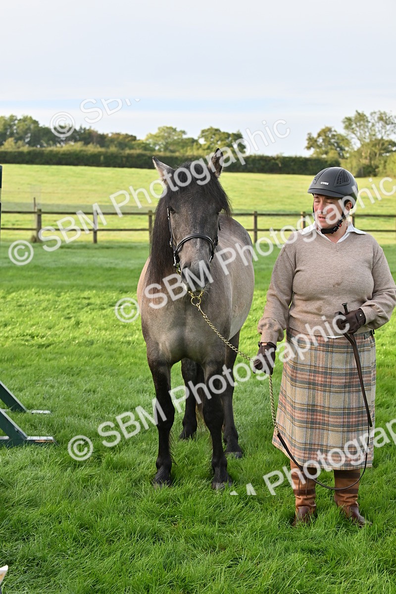 SBM_55356 - S44 - Youngstock In Hand