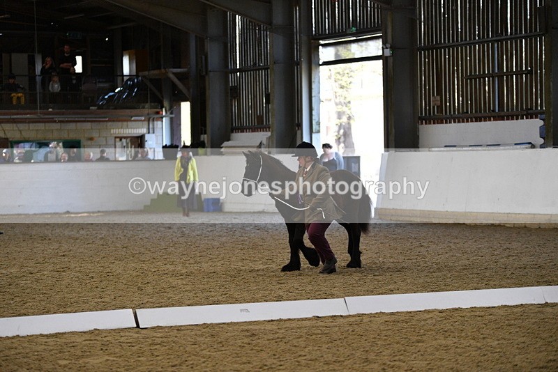 WJ5_3799 - Class 5 In Hand Veterans