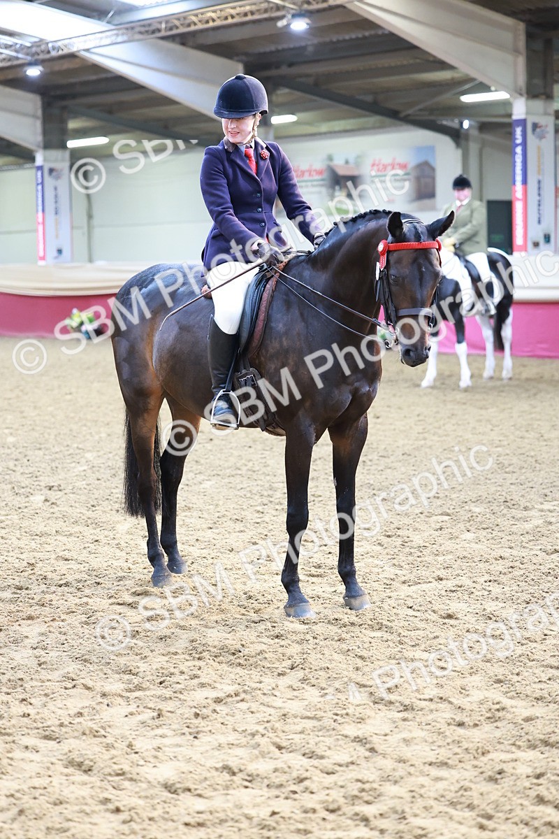 SBM_11883 - Class 102 - Equitation (Best Rider) Adult