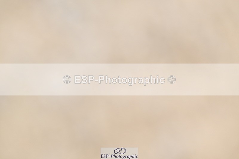 250613A-135708-01779 - Cls 12 95cm Amateur Quali