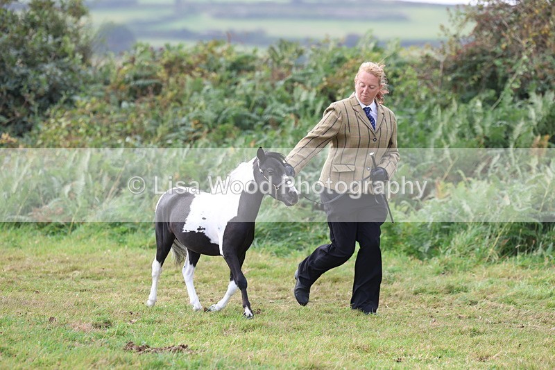 3E7A5379 - Class 19: Best Coloured in Hand