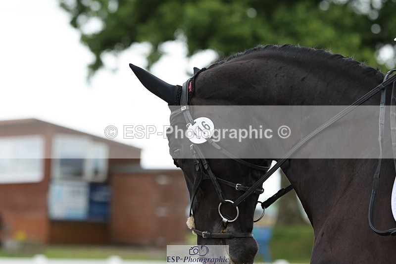 240622A-112201-09456 - Cls 27 BD Novice 37A