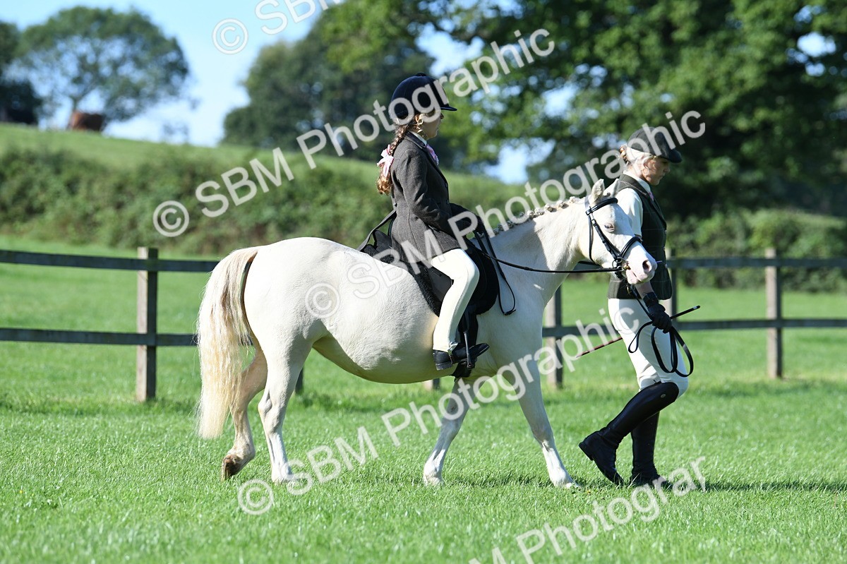 SBM_36696 - S18 - Novice & Newcomers Lead Rein Pony