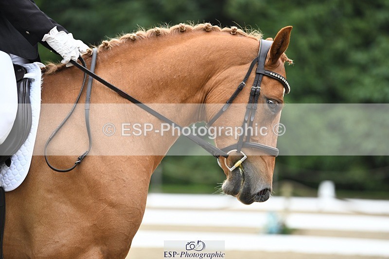 240720-111221-04205 - 155-Tamsin_OConnor-Riversides_Caballero