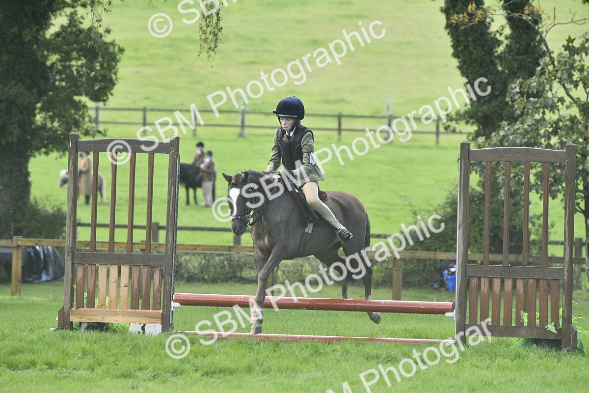 SBM_37191 - S31 - Novice & Newcomer Working Hunter Pony