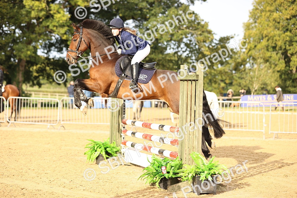 SBM_55234 - J62 - Clear Round 90cm