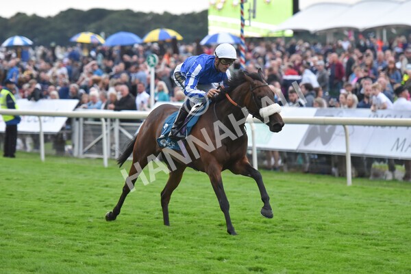 yr22072022r7-34 - Race 7 8.25pm The Sky Bet Go-Racing-In-Yorkshire Summer Festival Stakes