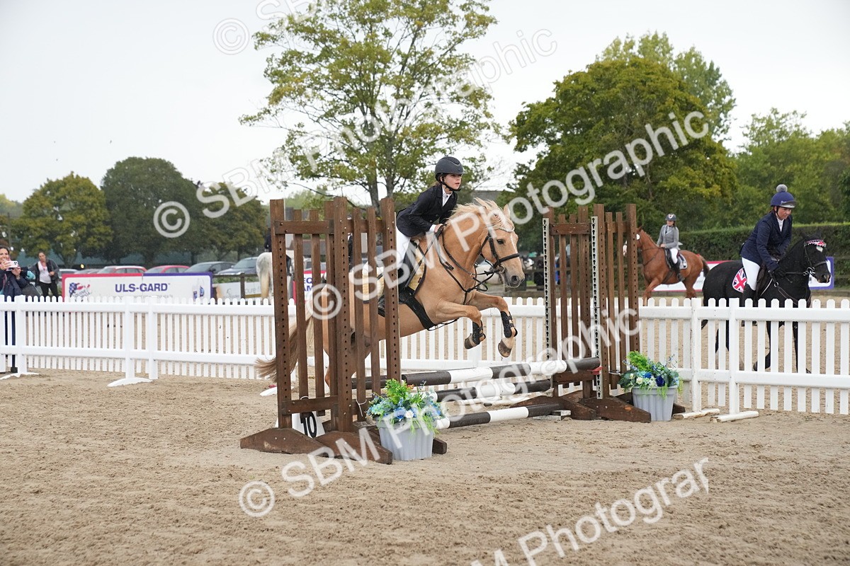SBM_01607 - J54 - Clear Round 50cm