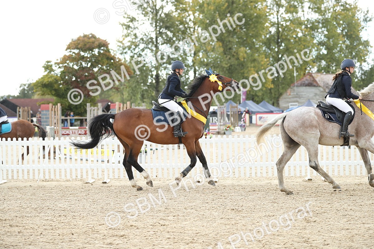 SBM_40517 - J21 - Junior Horse 60cm Championship