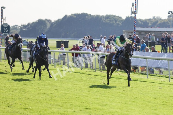 yr08102021r2-11 - Race 2 2.40pm Racing to School EBF Novice Stakes