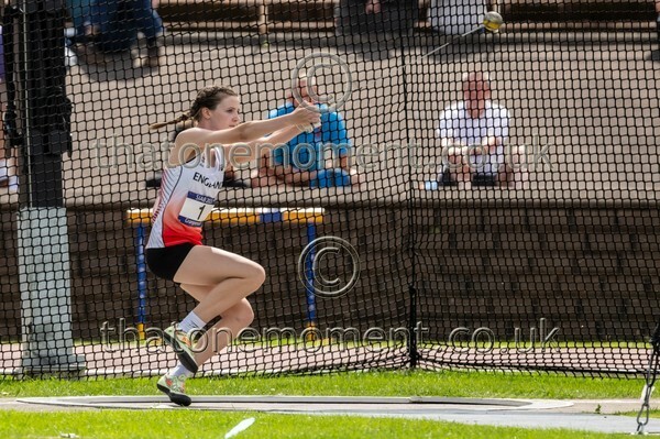 SIAB23-913087 - Field Female Set One