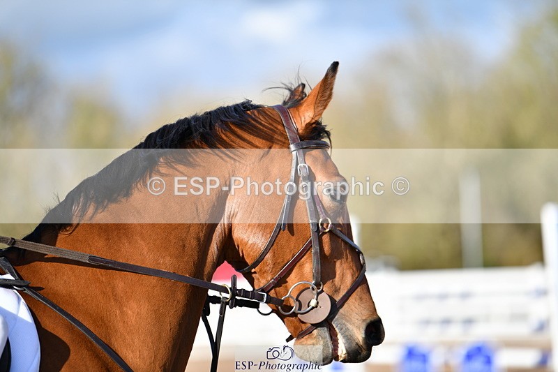 231110A-144923-00893 - Cls 6 Foxhunter & 1.20m Open