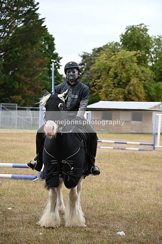 WJ6_8976 - Class 11 Fancy Dress