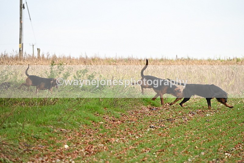 WJ6_9382 - Camera 2