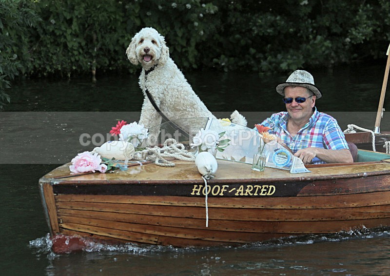 130705 HOOF-ARTED WT7A0630 - HENLEY ROYAL REGATTA - Friday 5th July 2013