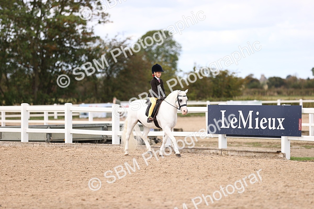 SBM_15926 - Class 416 - Prettiest Mare (IH or Ridden) Jnr