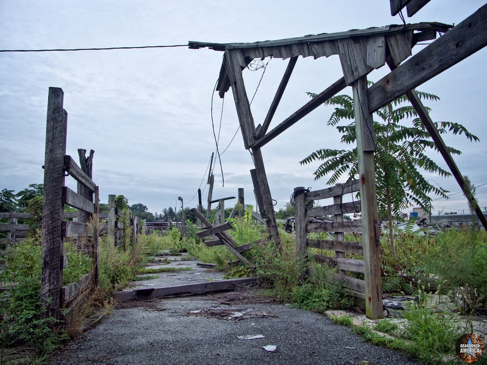 The Lancaster Stockyards | Askew - Lancaster Stockyard