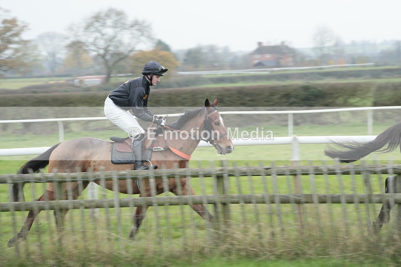 PtP 041222 0191 - Wheatland  Hunt PtP Chaddesley Corbett, Worcs 04/12/22