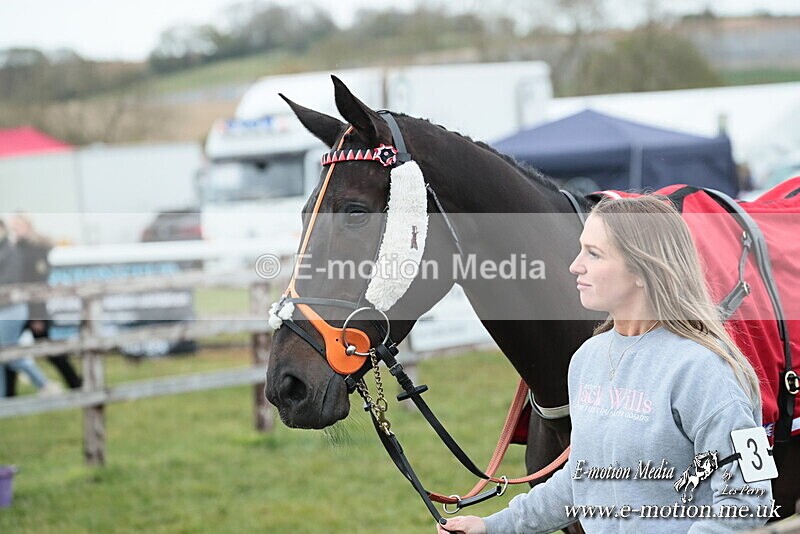 PtP 130425 329 - Edgecote Races 13/04/25