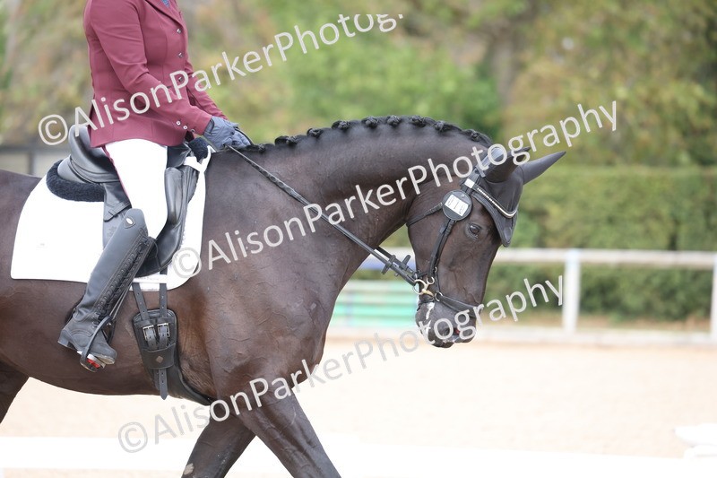 20260912-0628 - Class 5 - Novice 1