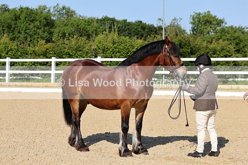 1X9A0552 - Class 2: M & M $ years and over