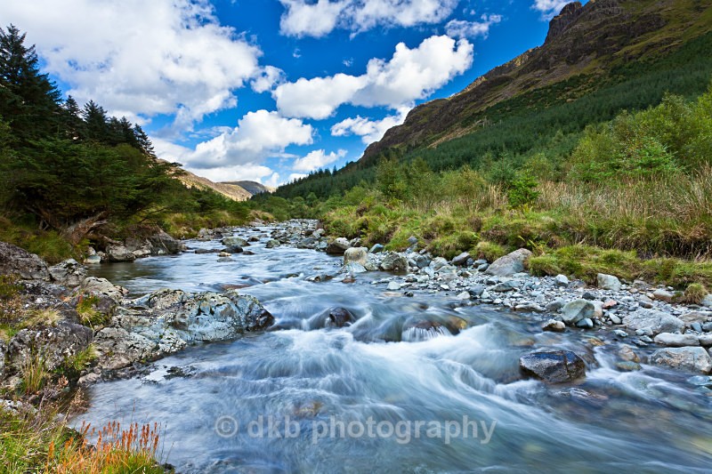 _MG_7409-1. Wild. - Ennerdale Valley