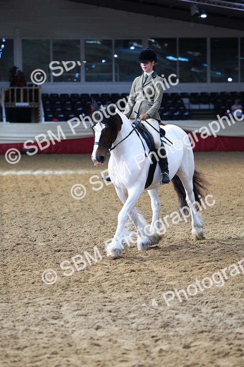 SBM_11953 - Class 102 - Equitation (Best Rider) Adult