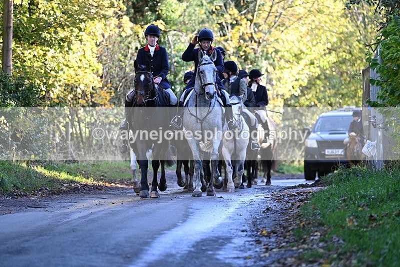 WJ7_8683 - Walk Home