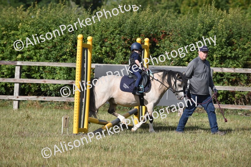 20250831-0359 - Class 6 - Minimus Jumping 30cm