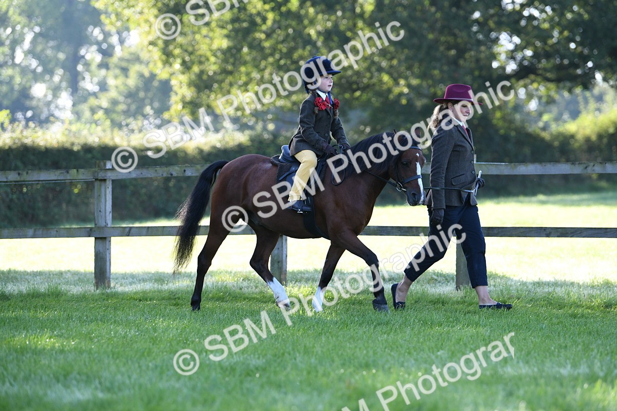 SBM_35339 - S17 - Condition & Turnout - Lead Rein