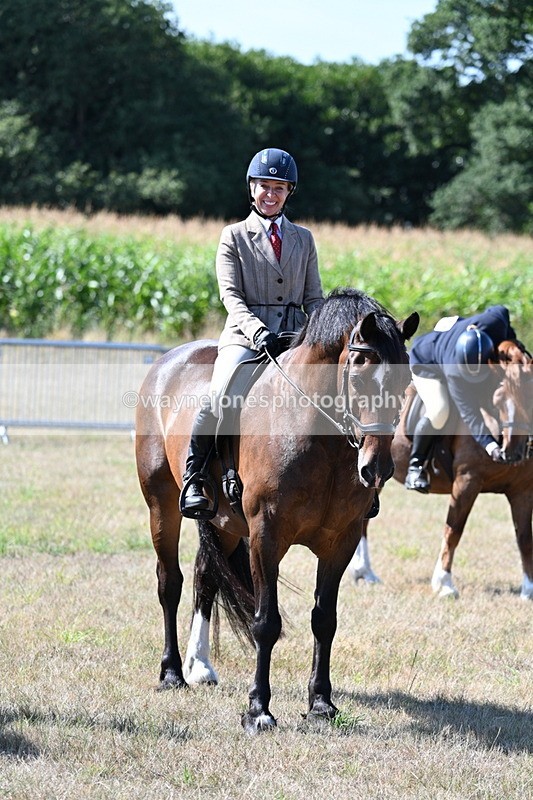 WJ7_3639 - Class 9 Mountain & Moorland Ridden