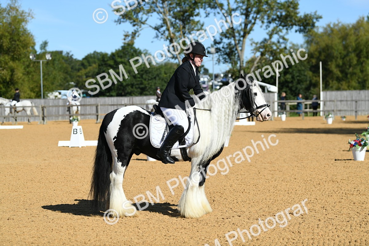 SBM_18093 - D4 - Small Tour Championship - Intro B