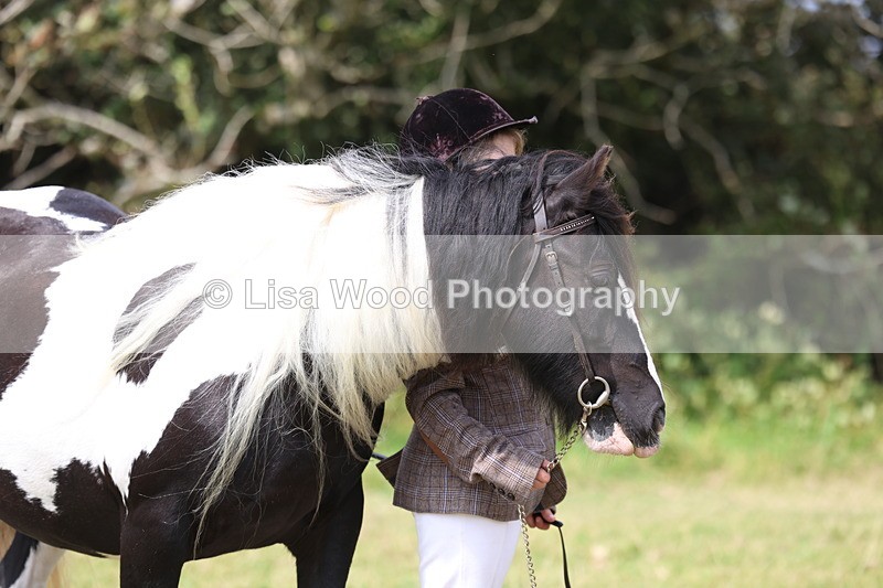 3E7A5395 - Class 19: Best Coloured in Hand