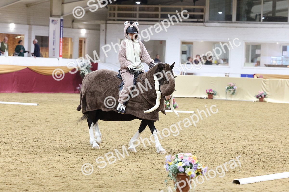 SBM_09897 - Class 52 Strictly Fancy Dress-Age