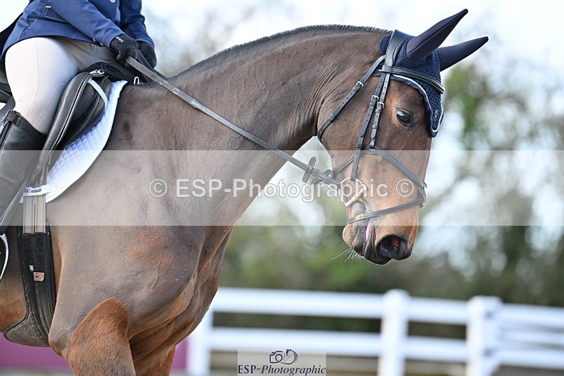 240324A-132714-03378 - Novice 28, 13.00 to 14.00