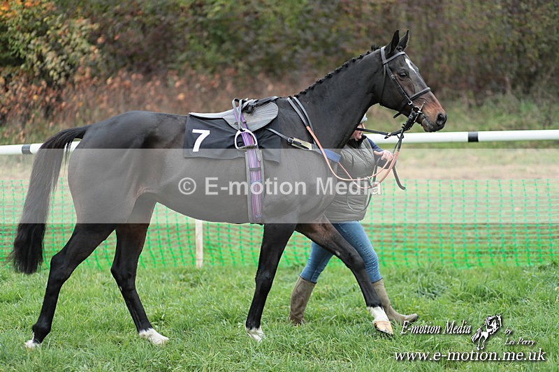 PtP 091124  144 - Knightwick Races Point-to-Point 09/11/24