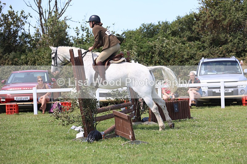 JPP_2690 - Class 21: Working Hunter 60cm