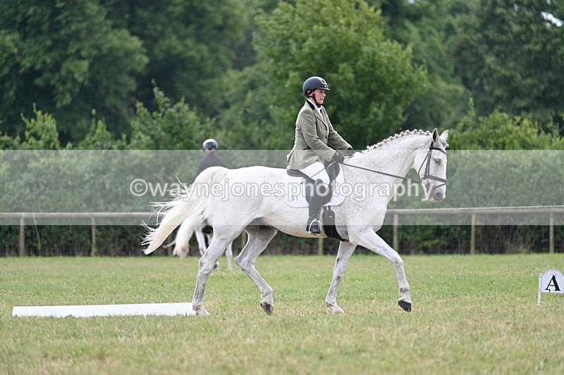 WJ7_5047 - Time 11:22 to 11:51