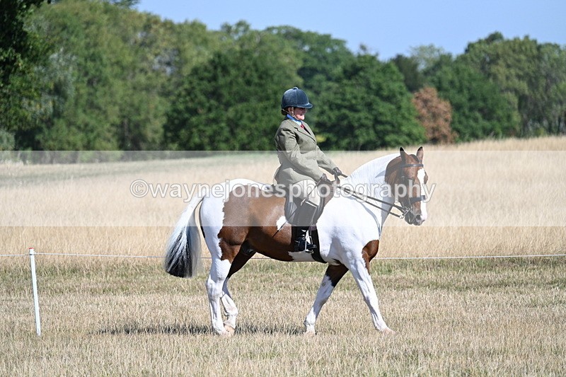 WJ7_3037 - Class 8 Ridden Tack & Turnout