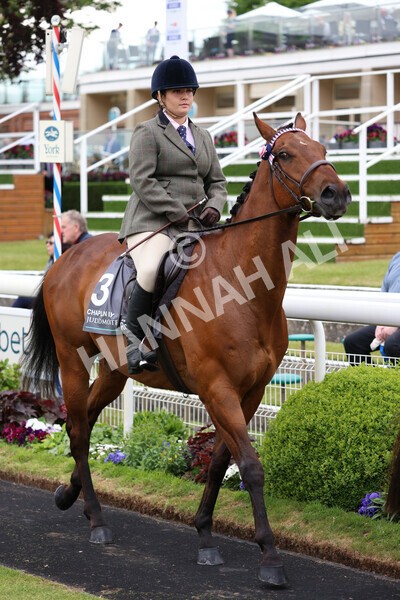 yr22052022r8e-55 - ROR - Parade Ring York