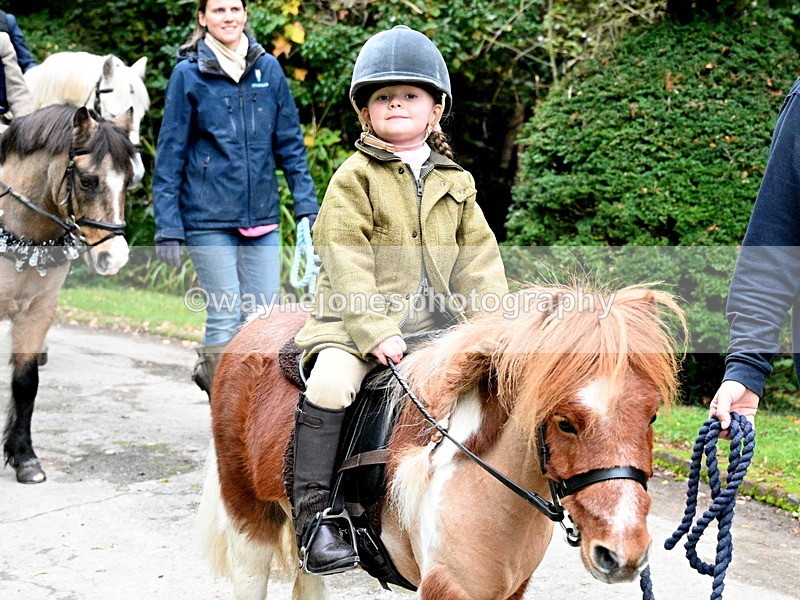 WJ7_6536 - Berks & Bucks - Children's Meet - The Old Farmhouse – Steventon.