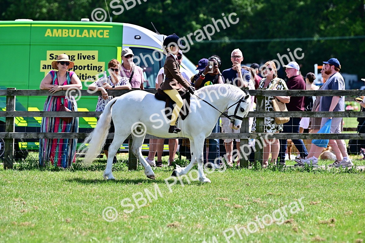 SBM_06432 - Class 59-60 - TSR M&M  Lear Rein and First Ridden Amateur of the year