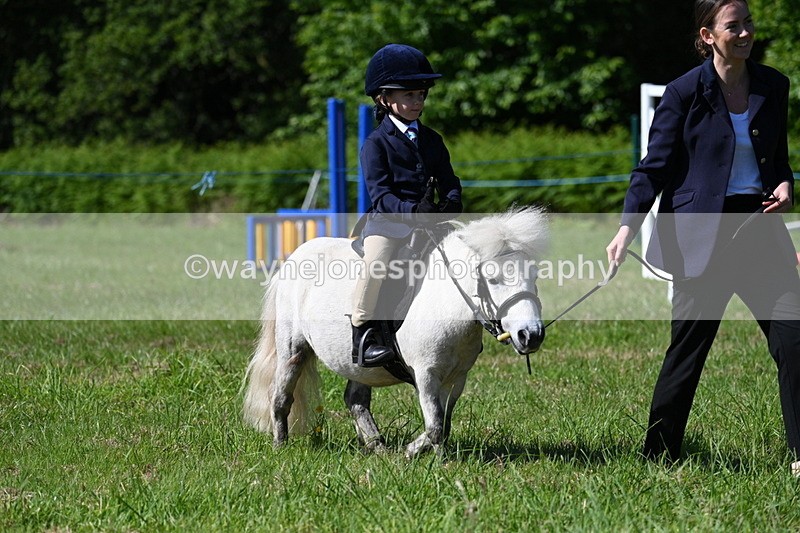 WJ7_0552 - Class 8 First Rally Pony
