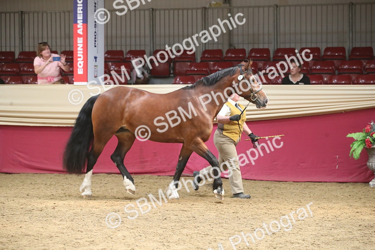 SBM_05552 - Class 9R - Regional IH Pre-Vet