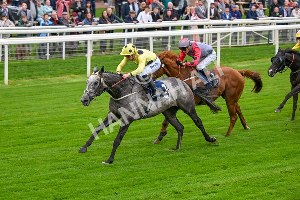 101025-Race 1-Ice Max-6205 - Race 1 William Hill Autumn Mile Handicap at York